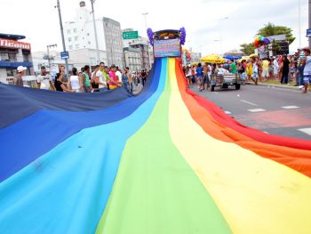 Bandeira no Orgulho Gay no IV Manifesto do Orgulho LGBT de Vitória