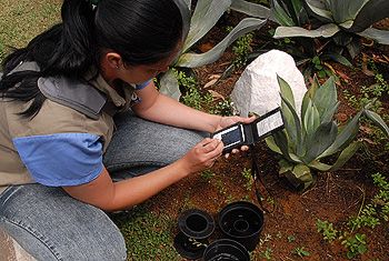 Monitoramento Inteligente da Dengue