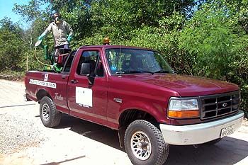 Carro fumacê