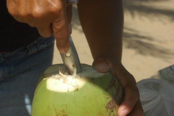 água de coco