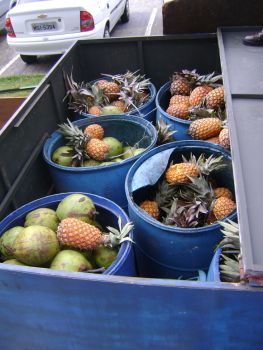 Apreensão de alimentos pela fiscalização da Sedec