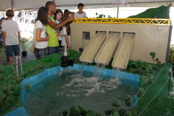 Usina Hidrelétrica, Feira do Verde
