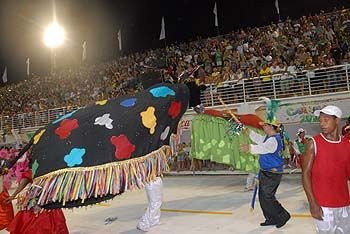 Ala da Escola de Samba São Torquato