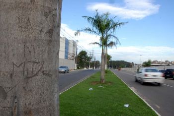 Rua Dário Lourenço