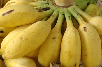 Produtos Orgânicos - Banana