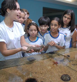 Aquário Interativo - Escola da Ciência, História e Biologia