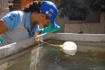Mutirão contra dengue no bairro Santo André