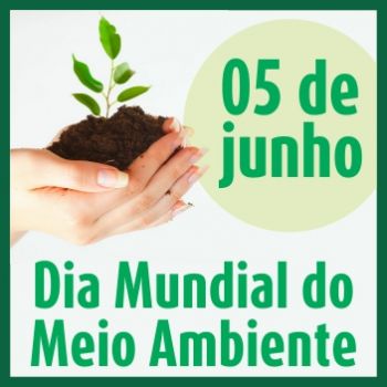 Perguntas e Respostas / Dia mundial do meio ambiente / Educação