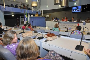 Audiência pública As Novas Chefes de Família na câmara de vereadores de Vitória