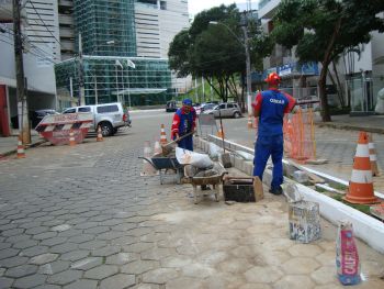 Canteiro na rua Chapot Presvot
