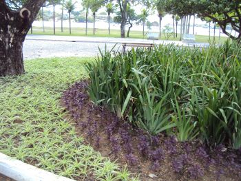 Paisagismo Praça dos Desejos