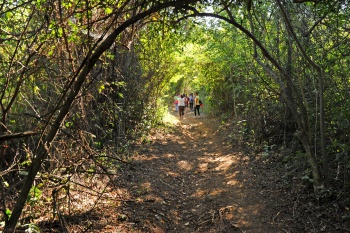 Caminhada Ecológica no Parque da Fonte Grande