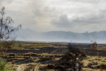 Combate a incêndio em área de Turfa