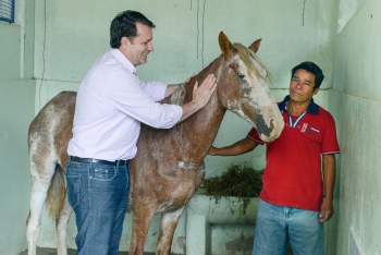 AÇÃO DE RECOLHIMENTO DE ANIMAIS E INDENIZAÇÃO DOS CARROCEIROS DO MUNICÍPIO