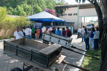 AÇÃO DE RECOLHIMENTO DE ANIMAIS E INDENIZAÇÃO DOS CARROCEIROS DO MUNICÍPIO