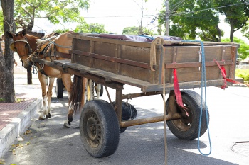 Cavalo e carroça em Jardim camburi que serão retirados das ruas