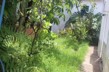Regina é vizinha amiga no combate ao mosquito no Bairro República