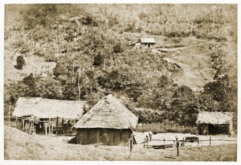 Estabelecimento comercial do colono hamburguês, Carl Vicke