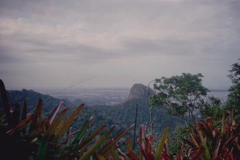 Parque da Fonte Grande