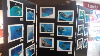 Exposição Olhares Singulares do Cmei Zenaide Genoveva no shopping Jardins em Jardim da Penha