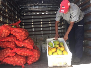 Banco de Alimentos recebe doações de frutas do programa Mesa Brasil