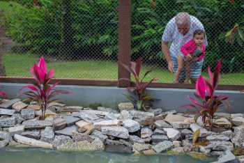 Parque Fazendinha ganha centro de pesquisa de jacarés