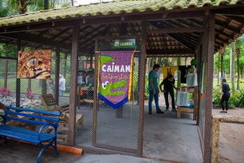Parque Fazendinha ganha centro de pesquisa de jacarés