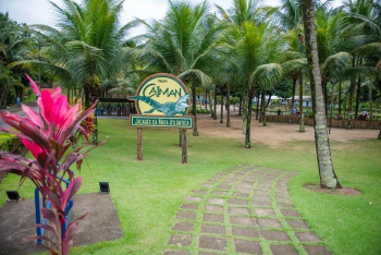Parque Fazendinha ganha centro de pesquisa de jacarés