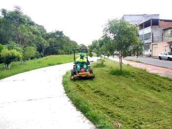 Poda e paisagismo