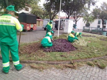 Poda e paisagismo