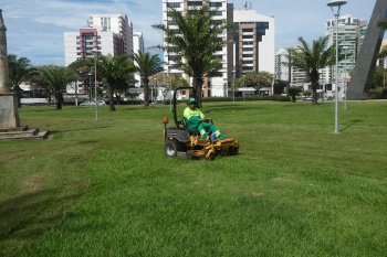 Poda e paisagismo
