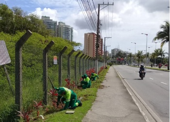 Poda e paisagismo