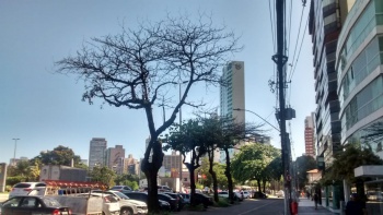 Árvores envenenadas