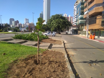 Replantio Praia do Canto