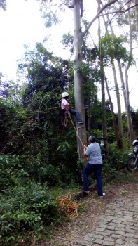 Curso CVSA