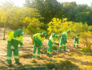 Limpeza na plantação de restinga no Parque da Mata da Praia