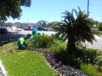 Semmam realiza ações de paisagismo na Praia do Canto