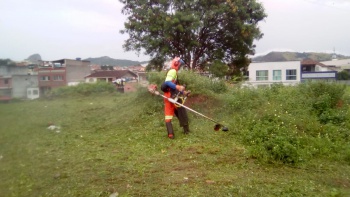 Roçagem em Andorinhas