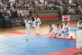 Taekwondo