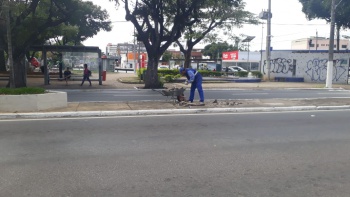 Continuação de recuperação de canteiro central da Avenida Paulino Müller no bairro jucutuquara