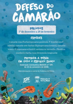 Defeso do camarão