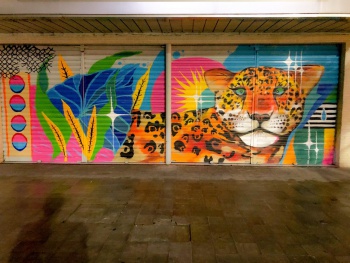 O artista João Postiço, com o projeto A Arte é Nossa, está transformando a avenida Jerônimo Monteiro numa galeria de arte a céu aberto