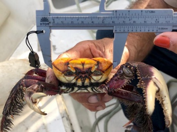 Fiscalização ambiental