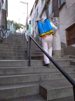Bairro Vila Rubim higienização de Escadarias