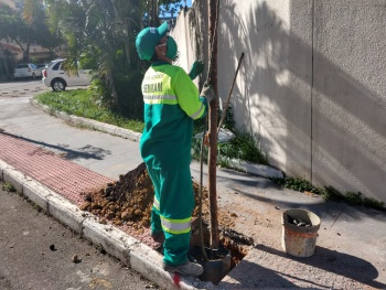 Plantio de árvores na avenida Dos Expedicionários, em Atlântica Ville