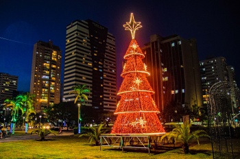 Árvore de Natal Iluminada na Praça do Papa