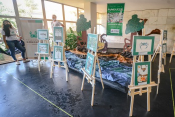 Exposição 