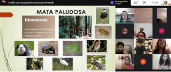 Atividade online sobre a Mata Peludosa