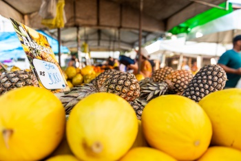 Barraca de Frutas em feira livre