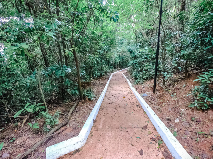 Parque da Fonte Grande - Trilha e Mata Atlântica